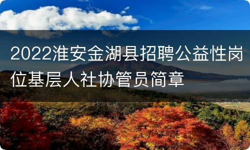 2022淮安金湖县招聘公益性岗位基层人社协管员简章