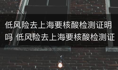 低风险去上海要核酸检测证明吗 低风险去上海要核酸检测证明吗