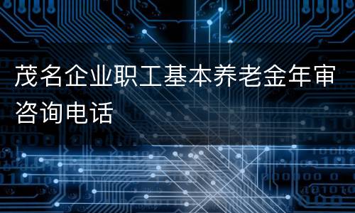 茂名企业职工基本养老金年审咨询电话