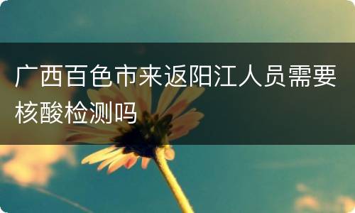 广西百色市来返阳江人员需要核酸检测吗