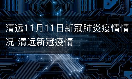 清远11月11日新冠肺炎疫情情况 清远新冠疫情
