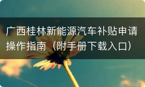 广西桂林新能源汽车补贴申请操作指南（附手册下载入口）