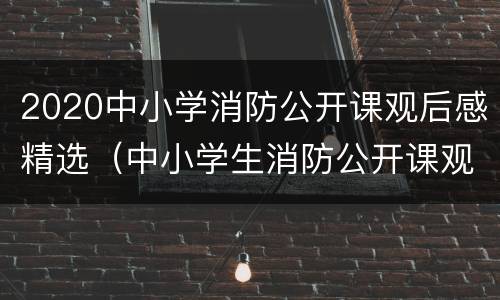 2020中小学消防公开课观后感精选（中小学生消防公开课观后感600字）