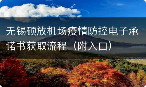 无锡硕放机场疫情防控电子承诺书获取流程（附入口）