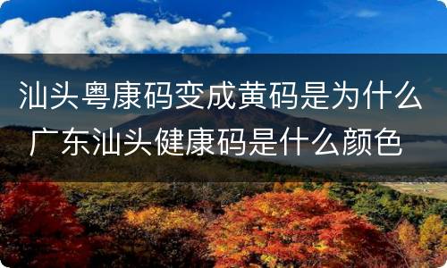 汕头粤康码变成黄码是为什么 广东汕头健康码是什么颜色