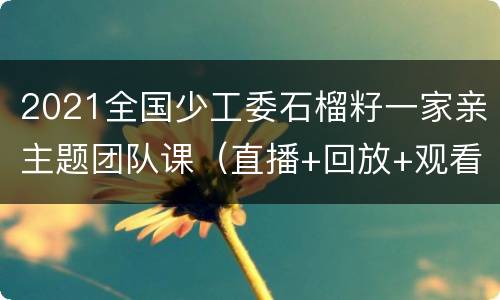 2021全国少工委石榴籽一家亲主题团队课（直播+回放+观看指南）