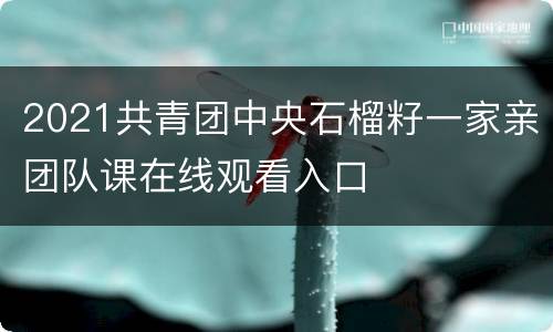 2021共青团中央石榴籽一家亲团队课在线观看入口