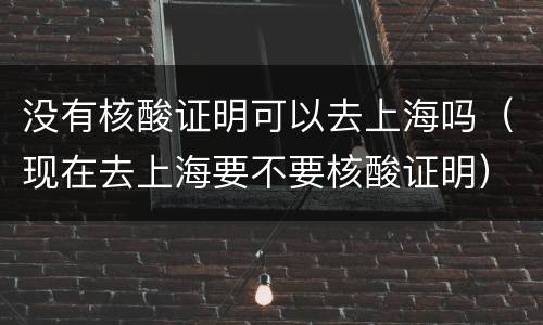 没有核酸证明可以去上海吗（现在去上海要不要核酸证明）