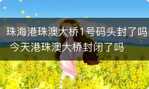 珠海港珠澳大桥1号码头封了吗 今天港珠澳大桥封闭了吗