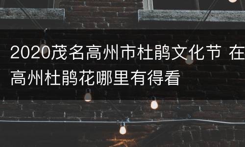 2020茂名高州市杜鹃文化节 在高州杜鹃花哪里有得看