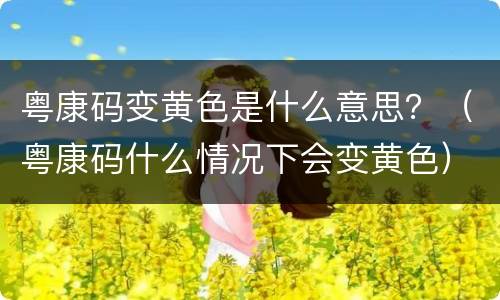 粤康码变黄色是什么意思？（粤康码什么情况下会变黄色）
