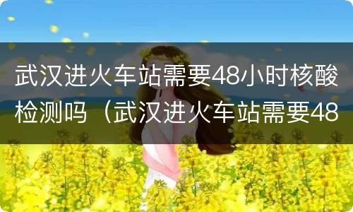 武汉进火车站需要48小时核酸检测吗（武汉进火车站需要48小时核酸检测吗最新）