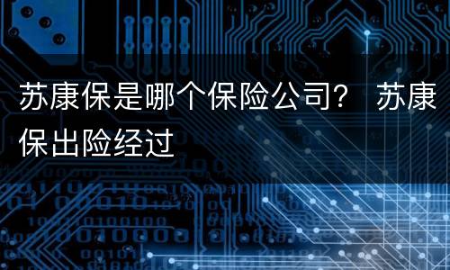 苏康保是哪个保险公司？ 苏康保出险经过