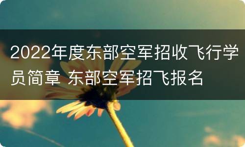 2022年度东部空军招收飞行学员简章 东部空军招飞报名