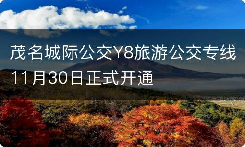 茂名城际公交Y8旅游公交专线11月30日正式开通