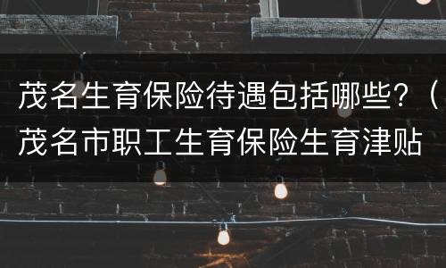 茂名生育保险待遇包括哪些?（茂名市职工生育保险生育津贴申领表）