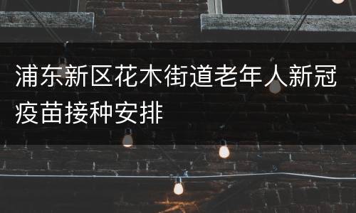 浦东新区花木街道老年人新冠疫苗接种安排
