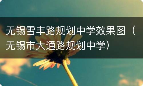 无锡雪丰路规划中学效果图（无锡市大通路规划中学）