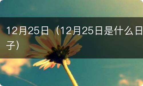 12月25日（12月25日是什么日子）