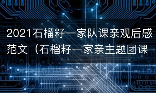2021石榴籽一家队课亲观后感范文（石榴籽一家亲主题团课队课心得体会观后感）