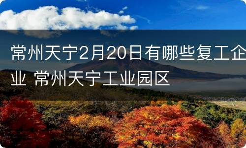 常州天宁2月20日有哪些复工企业 常州天宁工业园区