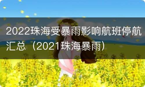 2022珠海受暴雨影响航班停航汇总（2021珠海暴雨）