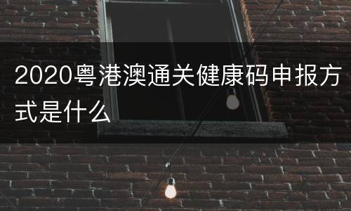 2020粤港澳通关健康码申报方式是什么