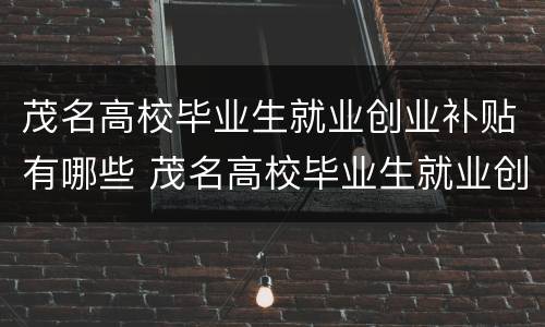 茂名高校毕业生就业创业补贴有哪些 茂名高校毕业生就业创业补贴有哪些项目