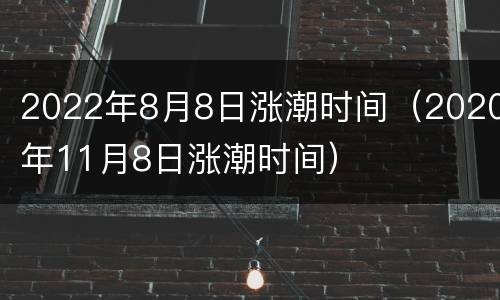 2022年8月8日涨潮时间（2020年11月8日涨潮时间）