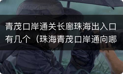 青茂口岸通关长廊珠海出入口有几个（珠海青茂口岸通向哪里）