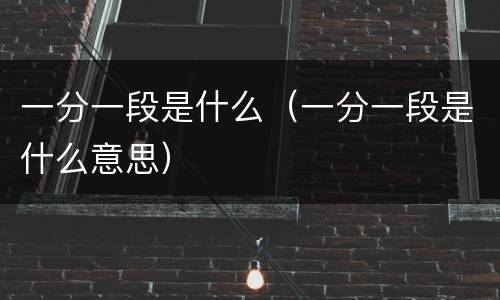 一分一段是什么（一分一段是什么意思）