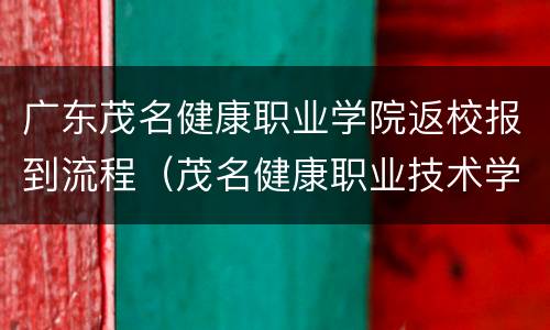 广东茂名健康职业学院返校报到流程（茂名健康职业技术学院新生群）
