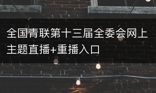 全国青联第十三届全委会网上主题直播+重播入口