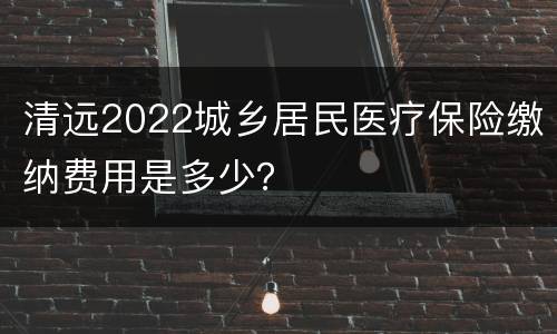 清远2022城乡居民医疗保险缴纳费用是多少？