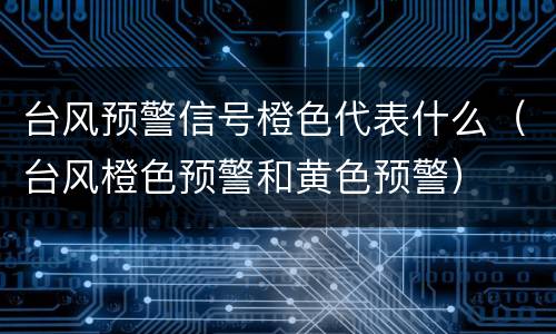 台风预警信号橙色代表什么（台风橙色预警和黄色预警）