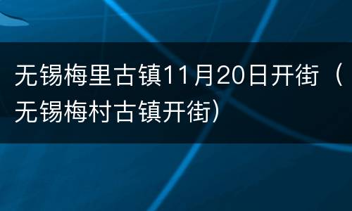 无锡梅里古镇11月20日开街（无锡梅村古镇开街）