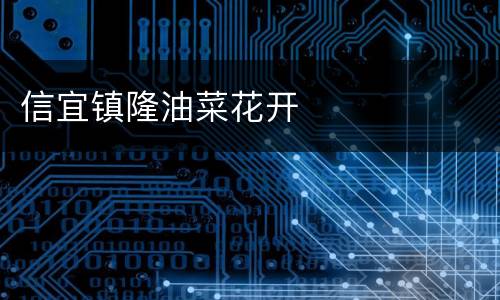 信宜镇隆油菜花开