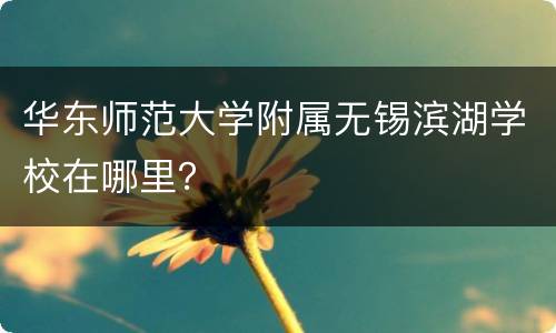 华东师范大学附属无锡滨湖学校在哪里？