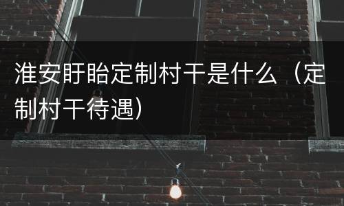 淮安盱眙定制村干是什么（定制村干待遇）