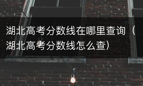 湖北高考分数线在哪里查询（湖北高考分数线怎么查）