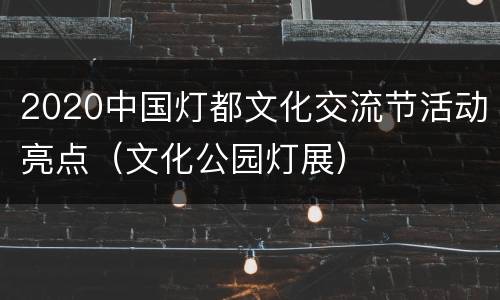 2020中国灯都文化交流节活动亮点（文化公园灯展）