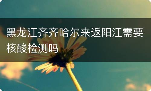 黑龙江齐齐哈尔来返阳江需要核酸检测吗