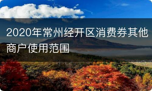 2020年常州经开区消费券其他商户使用范围