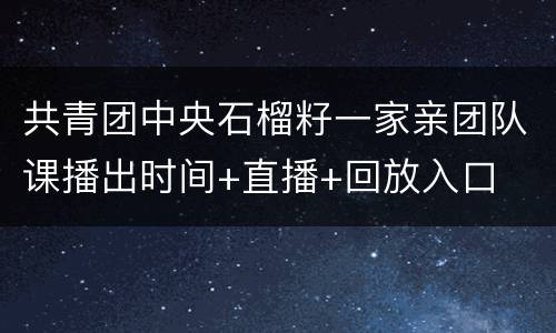 共青团中央石榴籽一家亲团队课播出时间+直播+回放入口