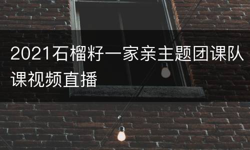 2021石榴籽一家亲主题团课队课视频直播