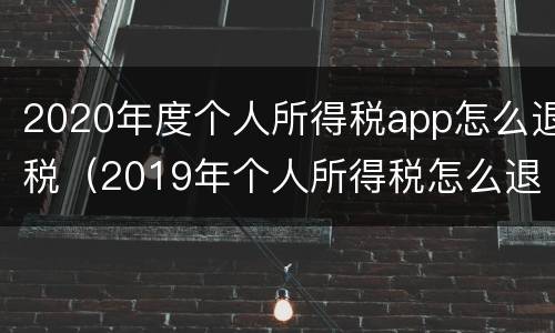 2020年度个人所得税app怎么退税（2019年个人所得税怎么退个人所得税app退税操作流程）