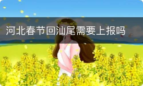 河北春节回汕尾需要上报吗