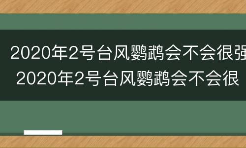 2020年2号台风鹦鹉会不会很强 2020年2号台风鹦鹉会不会很强大