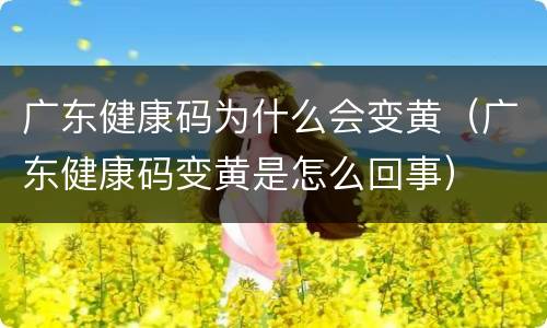 广东健康码为什么会变黄（广东健康码变黄是怎么回事）