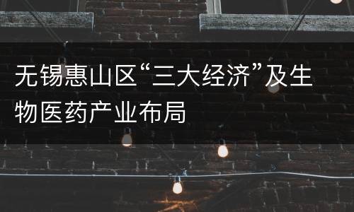 无锡惠山区“三大经济”及生物医药产业布局